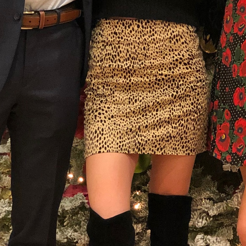 Brandy Melville Skirt